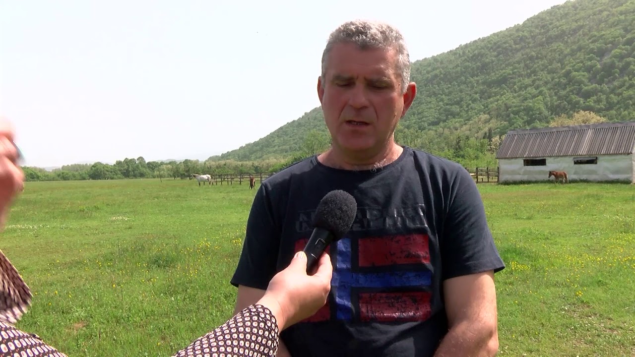Farma konja - Danilovgrad