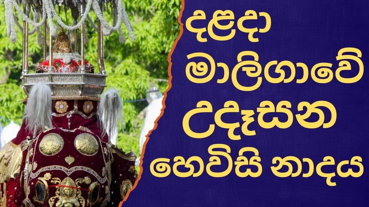 දළදා මාලිගාවේ සවස් තේවා හේවිසි – හදවත පිරිසිදු කරන නාදය 🎵 SIRI DALADA THEWA HEVISI NADAYA