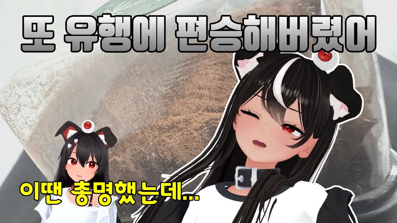 [독케익] 유행과 옛날 독케익