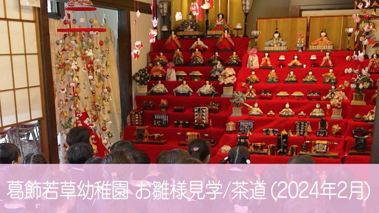 葛飾若草幼稚園 お雛様見学・お茶の指導 (2024/02/26)