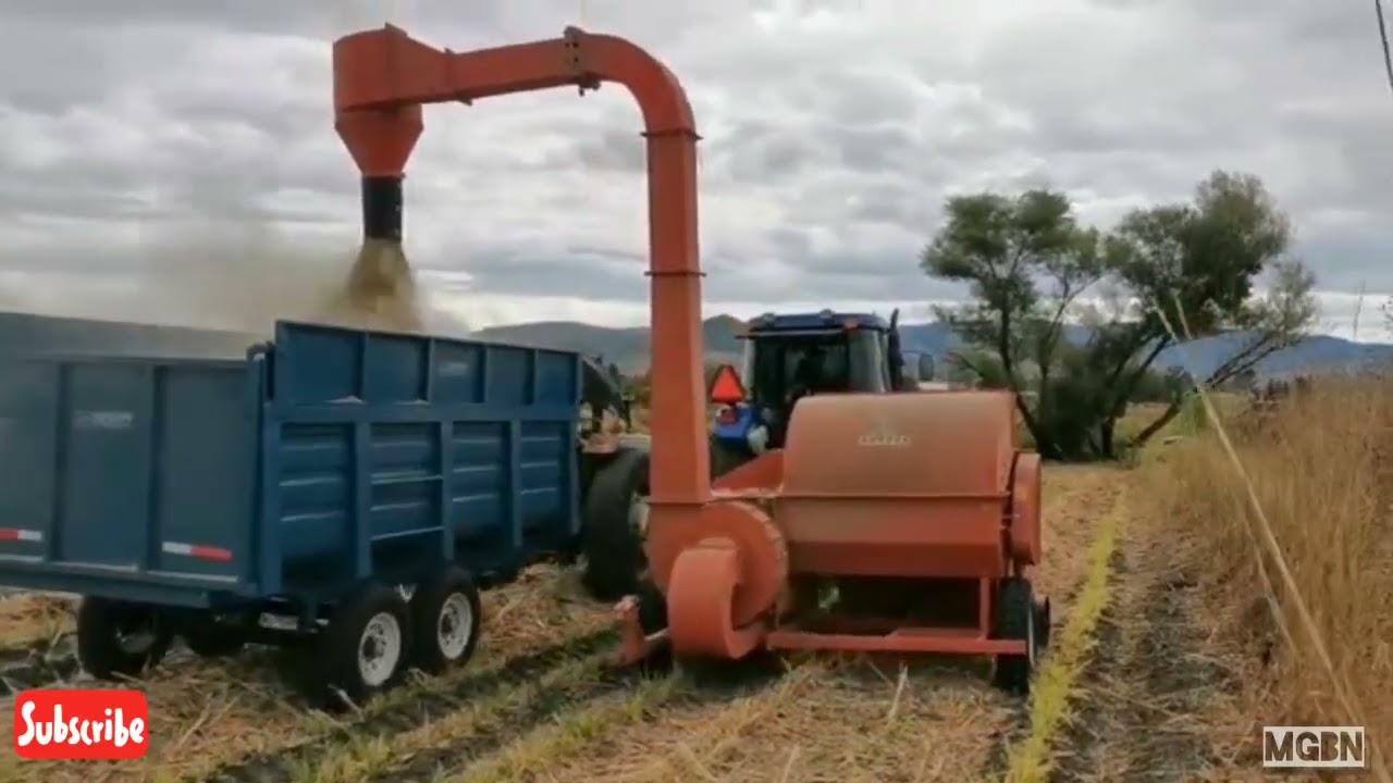 DESVARADORA MOLINO