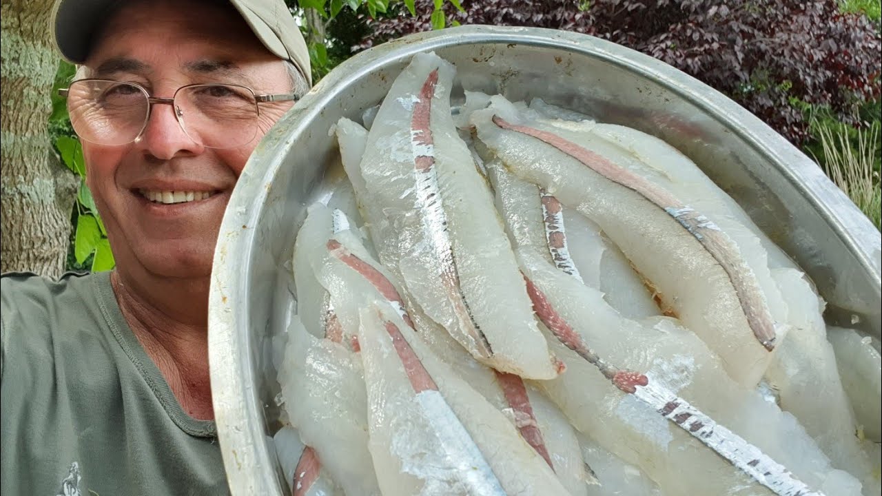 Fileteado rápido y fácil de Pejerreyes y otros pescados