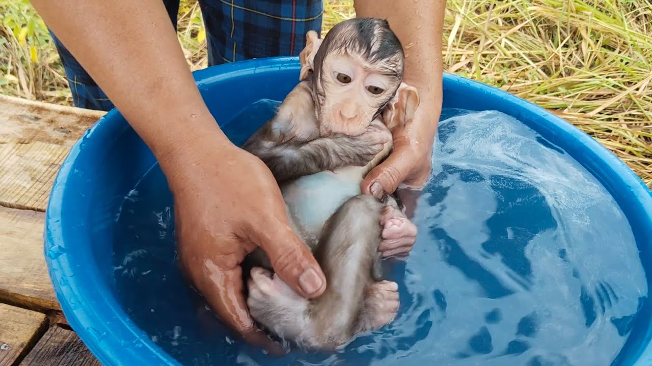 Unexpectedly, it turns out that Boni really likes playing in the water now.