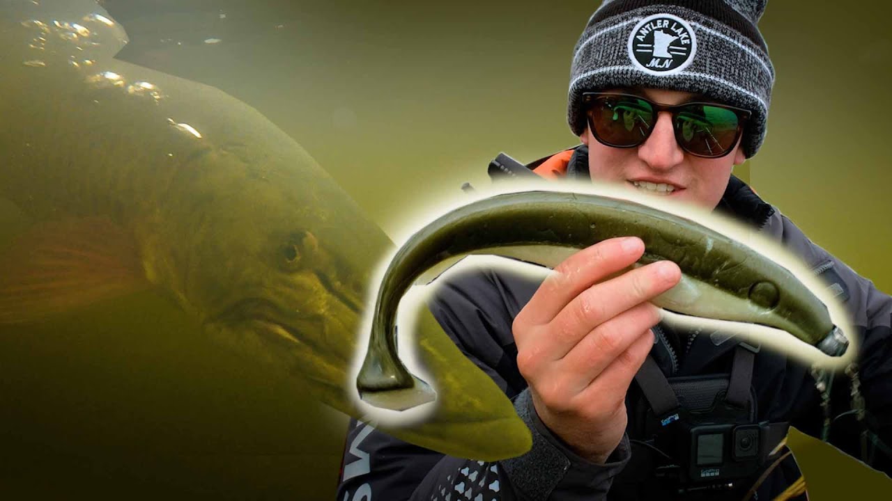 Trying GIANT Swedish Swimbait for MUSKY! (Muskie Fishing)
