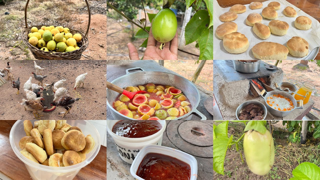 A SIMPLICIDADE e a FARTURA da VIDA na ROÇA/ ROTINA do dia e preparando doce de goiaba/almoço simples