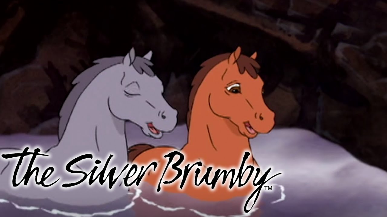 The Silver Brumby | Foals in Trouble and The Brolga Wants a Fight | Cartoons For Children