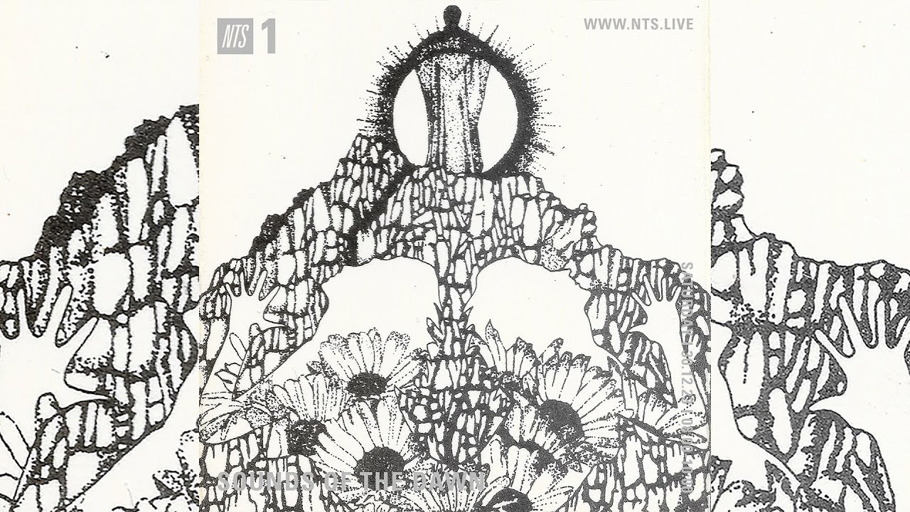 SOTD on NTS1 #112