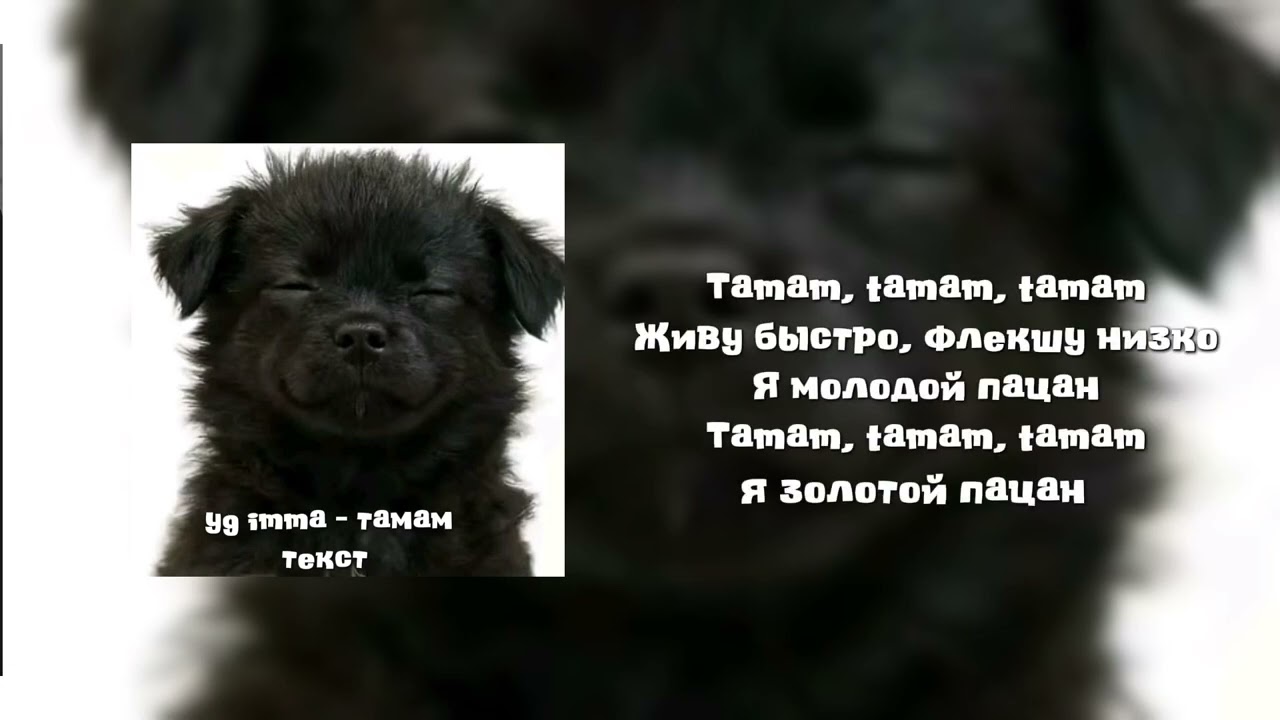 ygg imma - тамам (текст)  видео могут удалить !!!