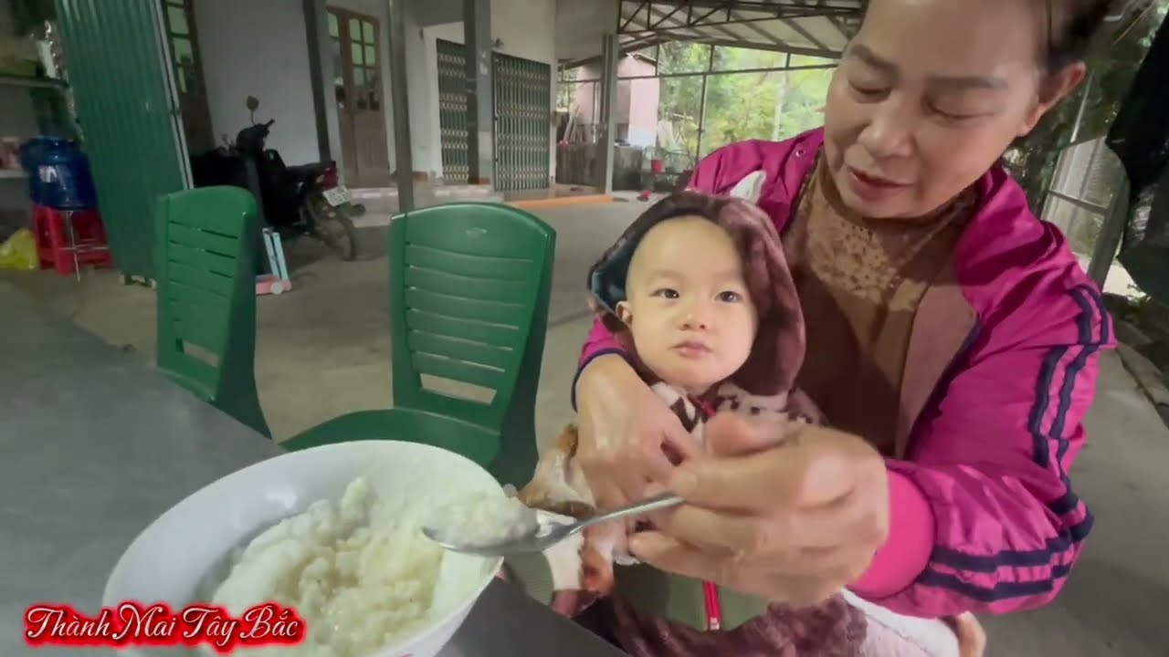 Bữa Cơm Một Mình , Và Làm Việc Xuyên Đêm _Thành Mai Tây Bắc