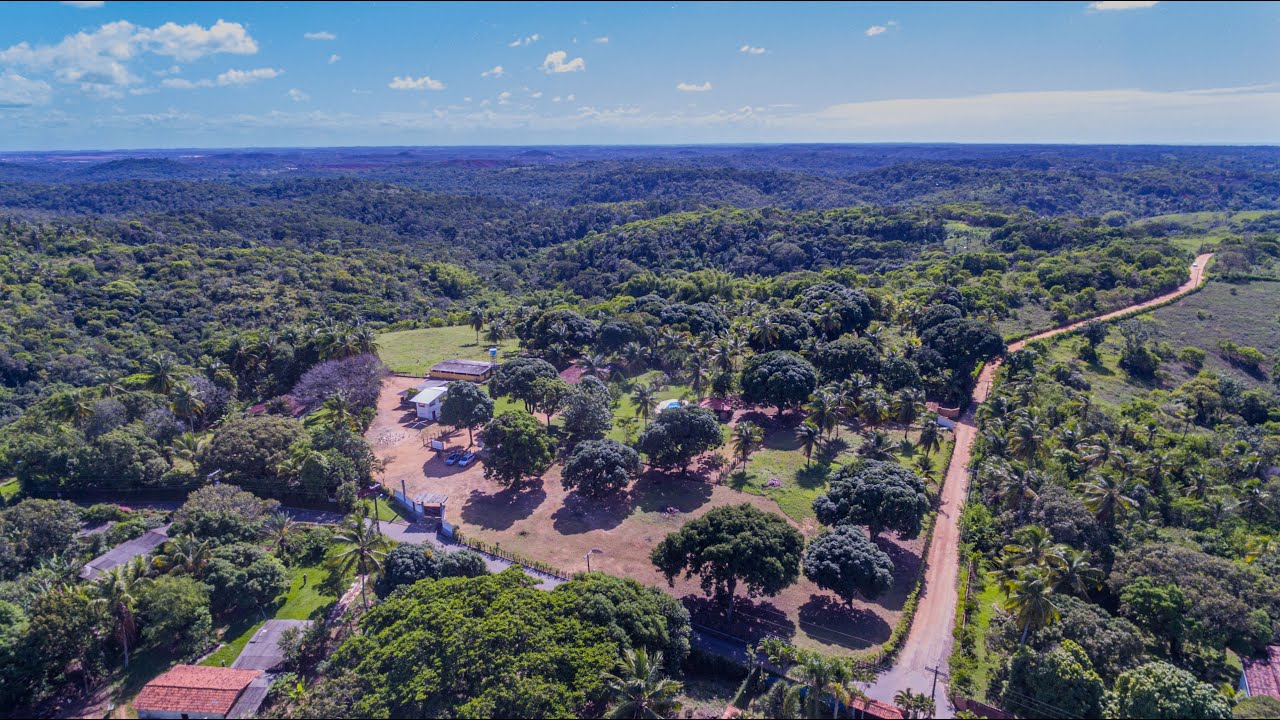 CHÁCARA A VENDA I CAMAÇARI COM 10,34 Ha (103.340 m2) I PORTEIRA FECHADA l PINHEIRO IMÓVEIS