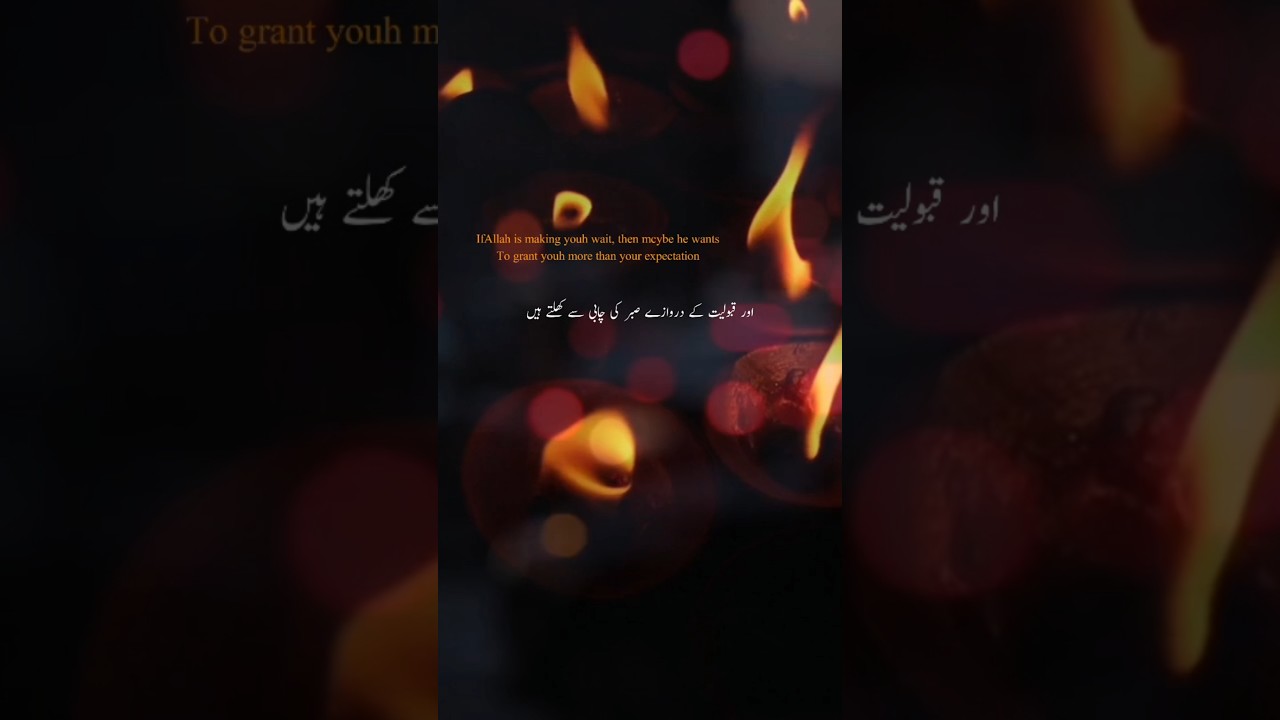 Allah’s words are the light in every darkness. 