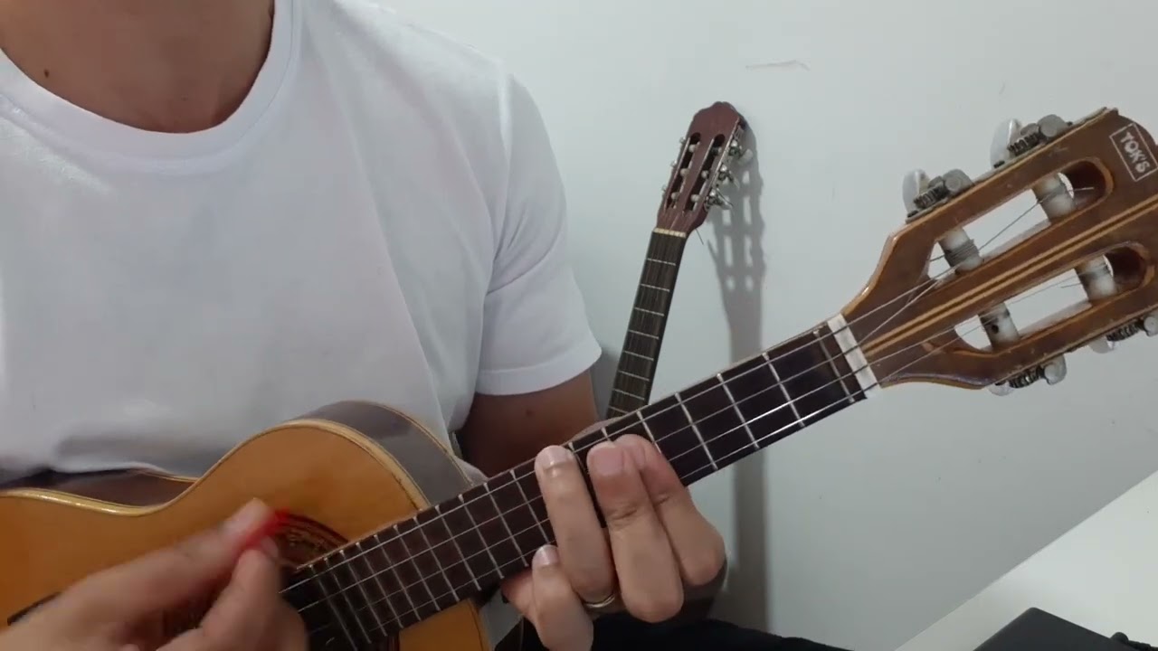 Papel Principal e À Vera do Zeca pagodinho  #samba #cavaco
