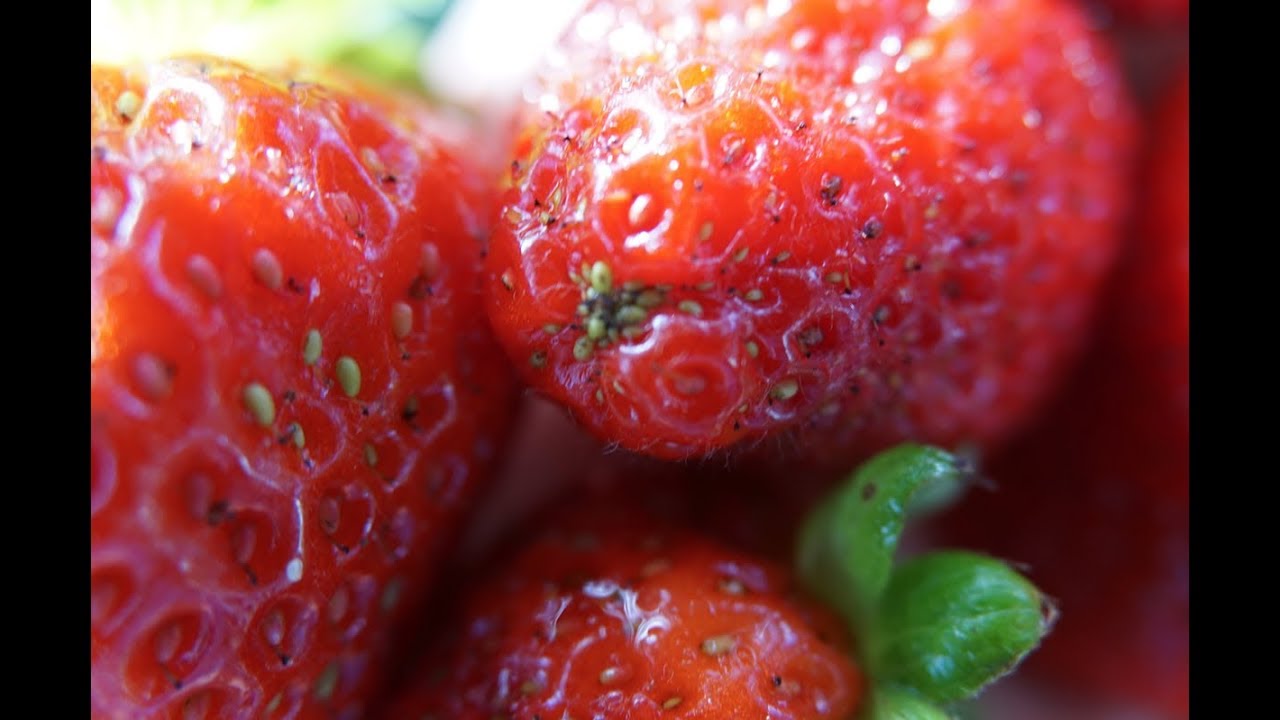 Permaculture Strawberries Lesson