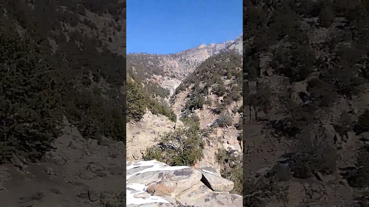 Our Jungle (Bathamba Jungle) Gohar Abad,Chilas,Diamir Gilgit Baltistan 🇵🇰