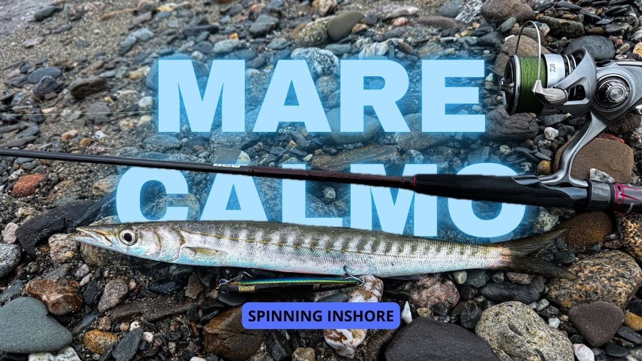 🎣 SPINNING con mare STRACALMO: DUE BARRACUDA e un FESTIVAL con LUCERTOLE e TRACINE!