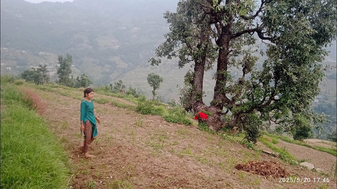 बहुत ही खतरनाक बिजली चमकी और साथ में😱😳⛈️🌪 आंधी तूफान सबको लगा बहुत डर और साथ में गौशाला का काम किया.