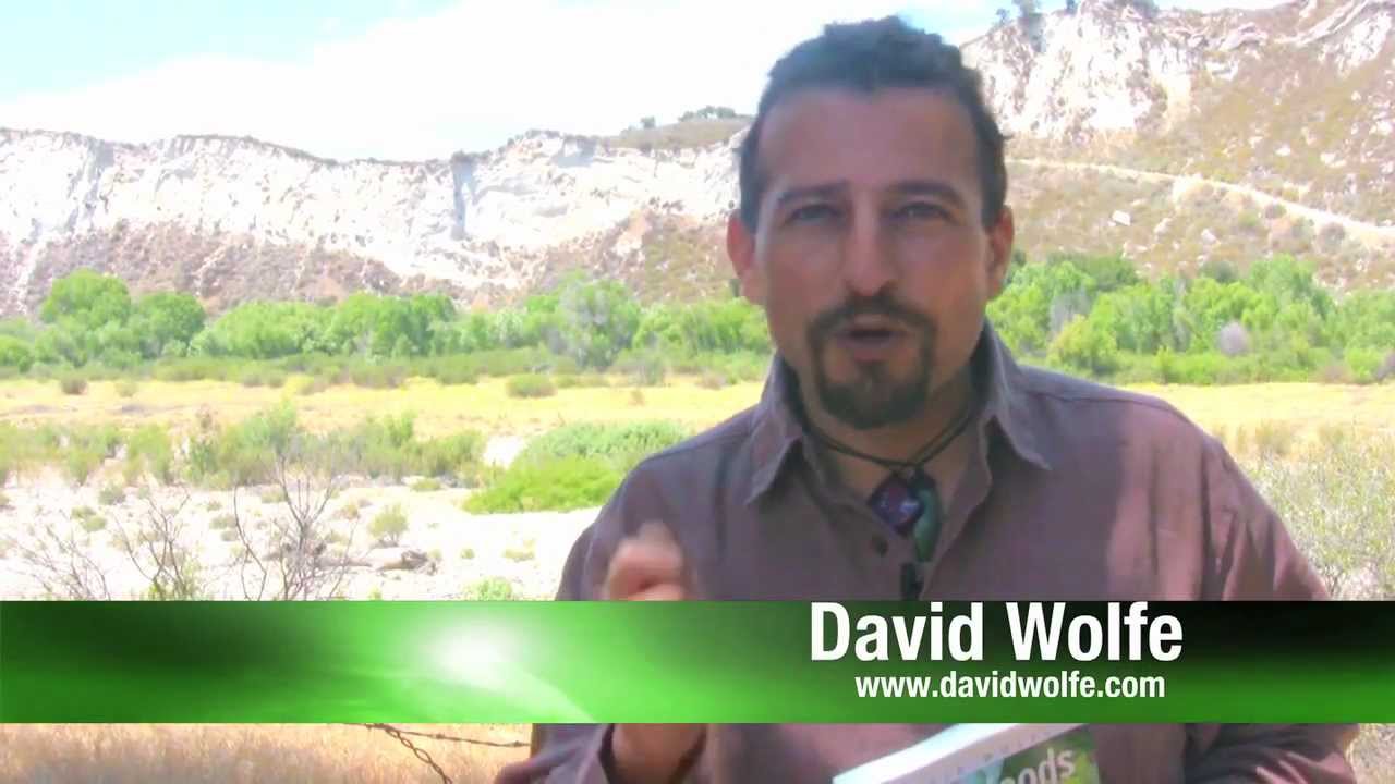 David Wolfe on Superfoods