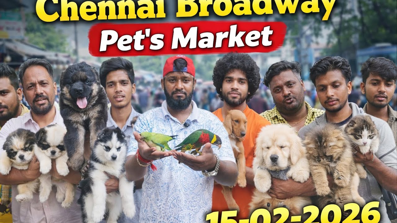 Broadway Pet Market Full Tour | Seller Contacts & Latest Prices (Feb-15-2026)