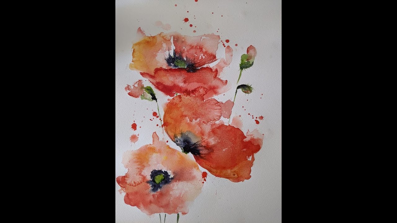 loose watercolour poppies