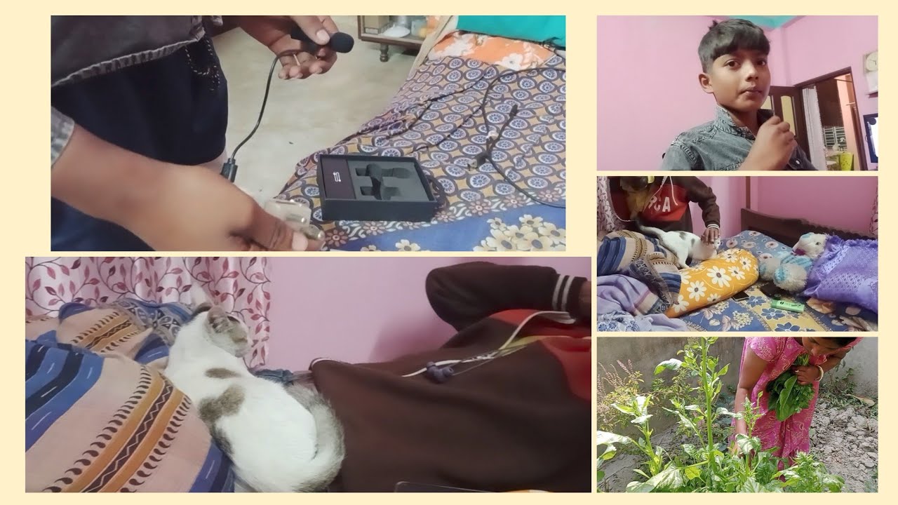 রিক যে এরকম একটা কাজ 🤸🤸করবে ভাবা যায়নি/ আর একজন পরিবারের সদস্য হতে 😺😺চায় ।