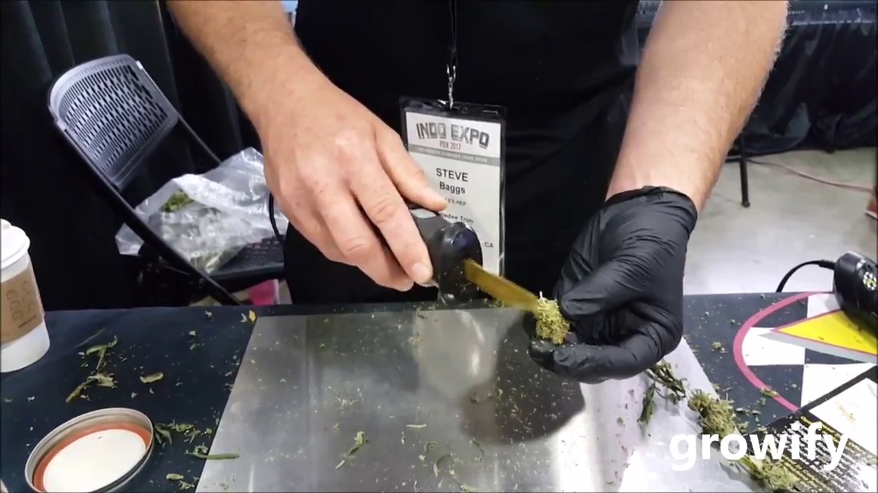 How to Trim Weed Fast? Speedee Trim Hand Trimmer In Action Review!