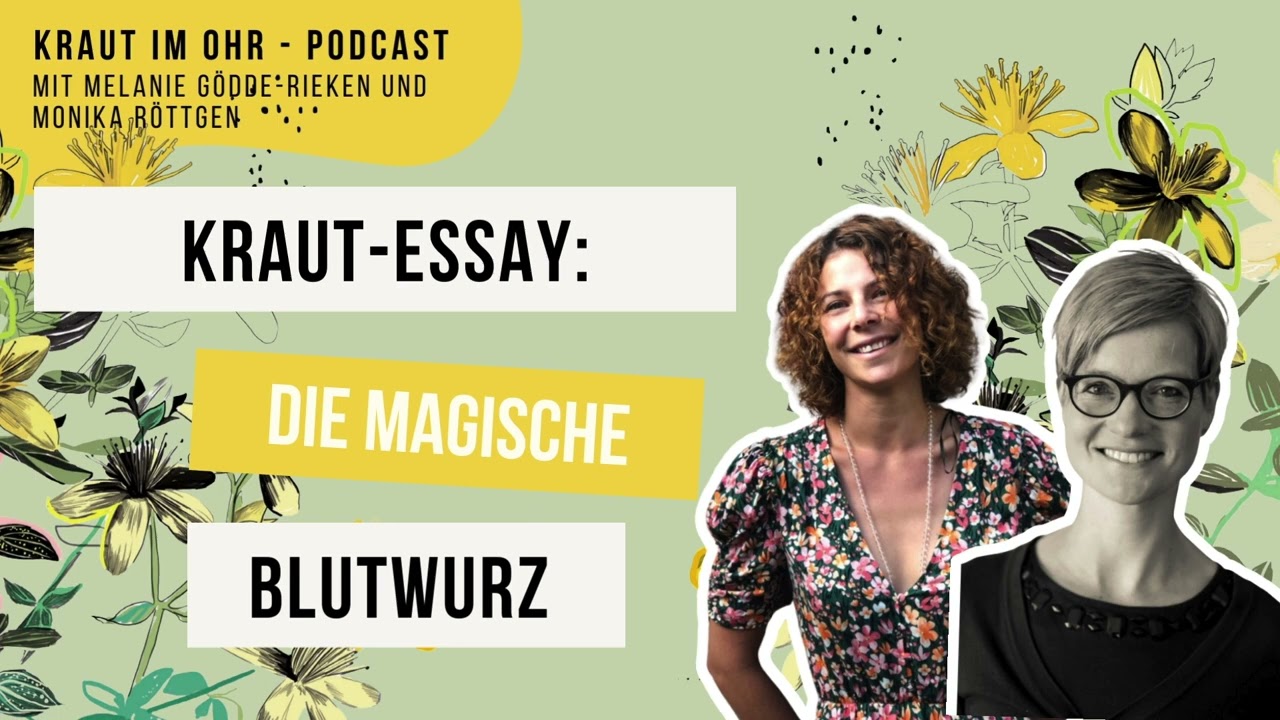 Kraut-Essay: Die magische Blutwurz, Arzneipflanze 2024