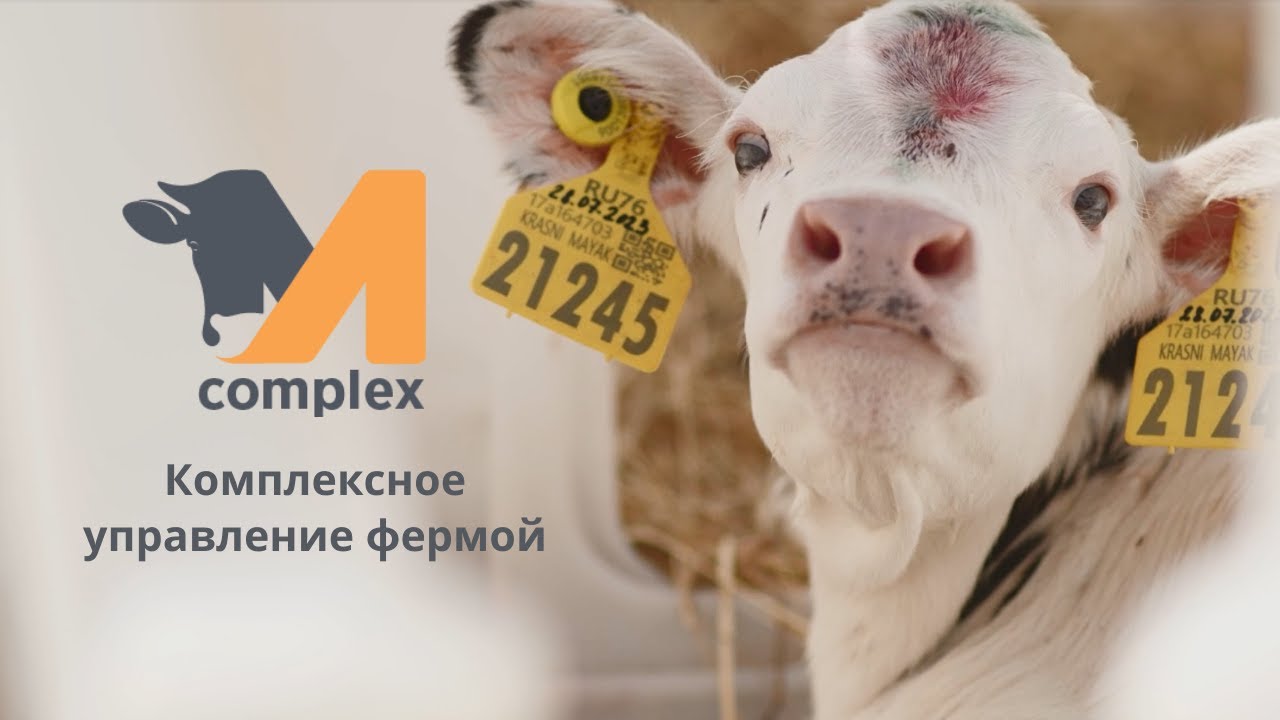 M-complex: комплексное решение для управления фермой КРС (программа управления стадом)