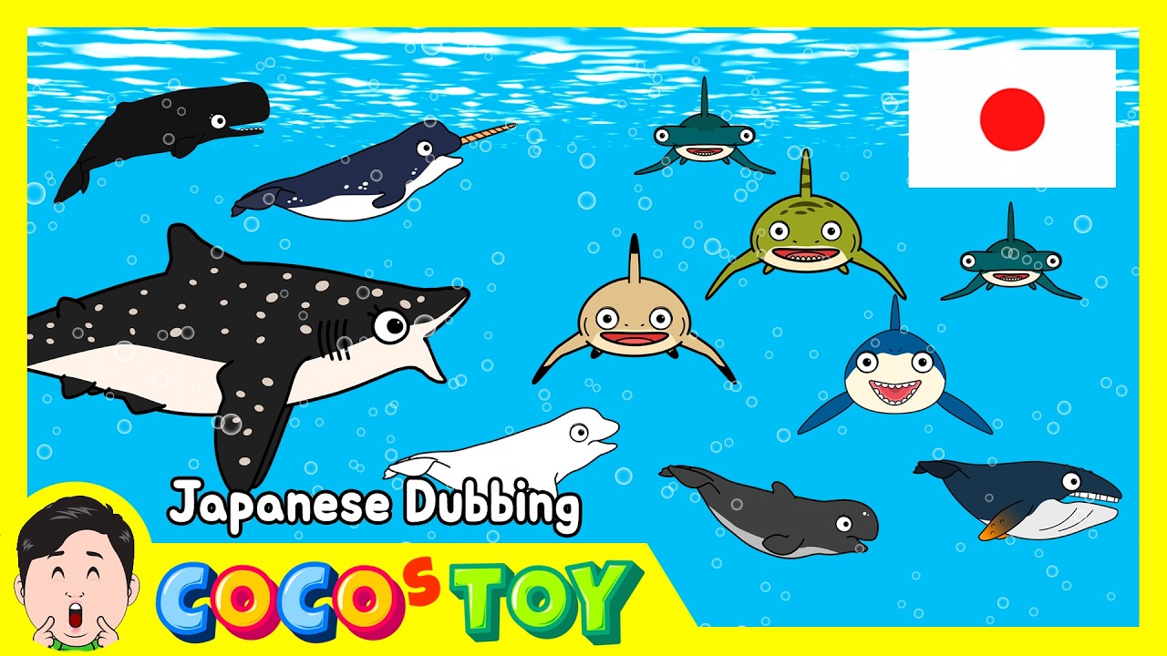 30分ㅣ英語ダビングㅣ海の動物の物語集ですㅣ子ども向けのサメとクジラㅣCoCosToy
