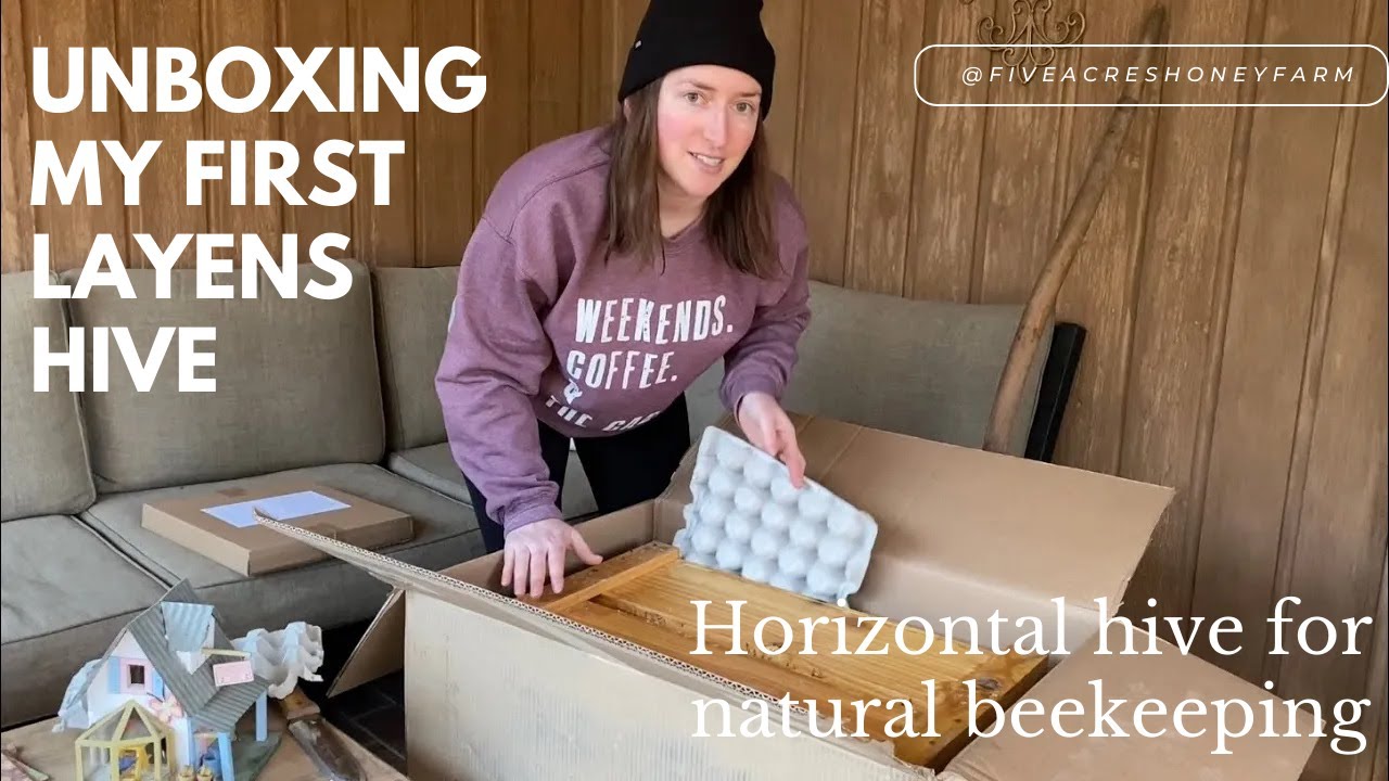 Unboxing my first Layens hive | Horizontal hive