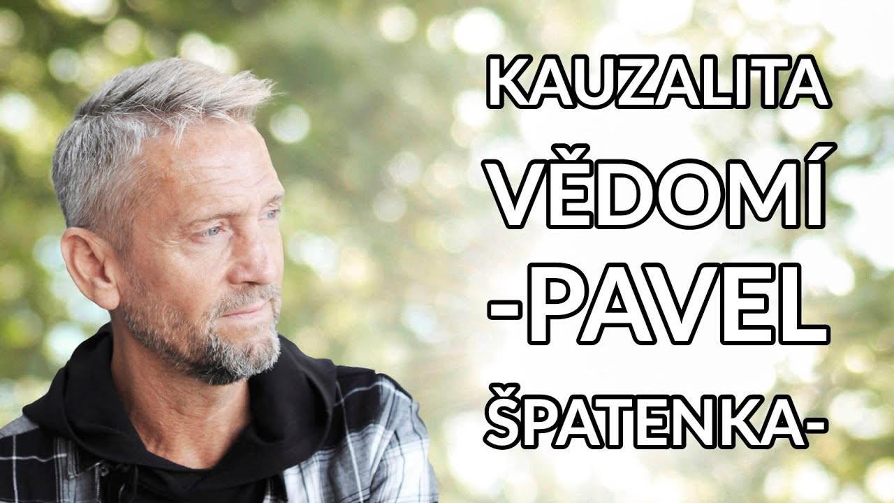 Kauzalita vědomí (Pavel Špatenka)