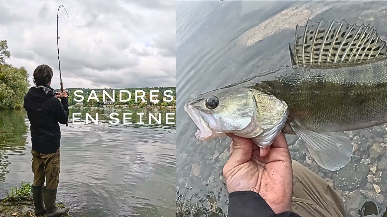 PÊCHE EN SEINE DU BORD🔥 : DES POISSONS ACTIFS (GROS FIGHT!)  🎣🔥