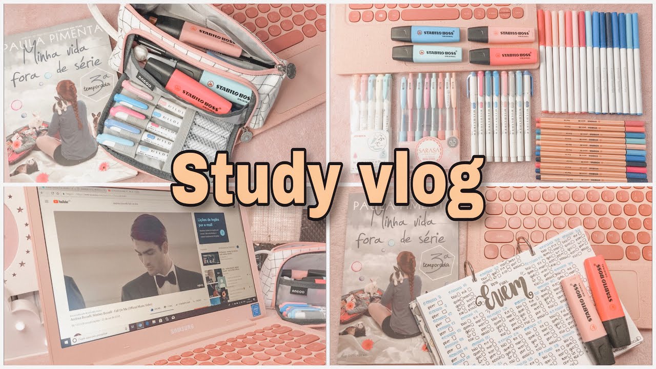 #19 STUDY VLOG | 1 DIA DE ESTUDOS | TÍTULOS E RESUMOS COM A COR ROSA E AZUL + DECOREI MEU NOTEBOOK