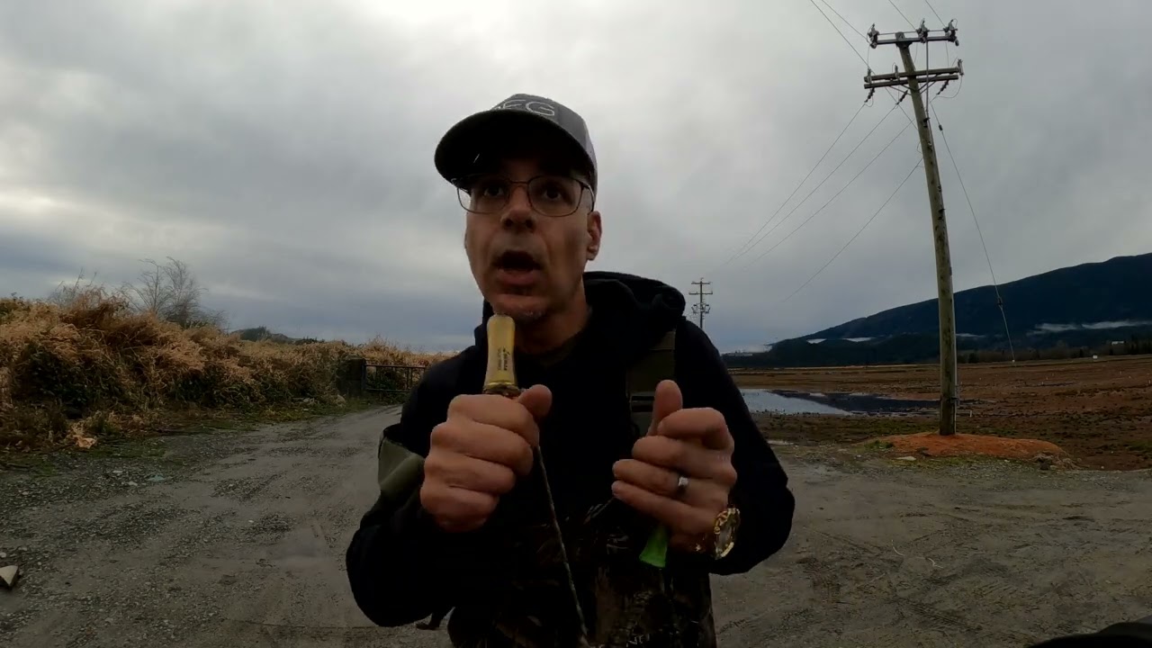 Canada Geese calling hunting in BC PRACTICE