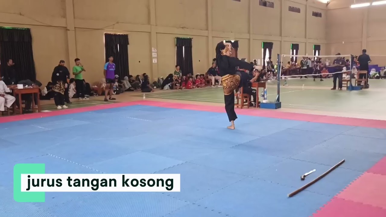 Video keterampilan Pencak Silat Seni Tunggal IPSI (Beasiswa Atlet fan Seni UII 2025) - M ALIEF AKBAR