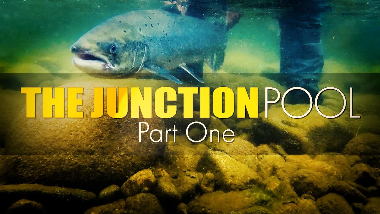Part 1: The Junction Pool at Ballindalloch Castle - River Spey Scotland - 18lb Atlantic Salmon
