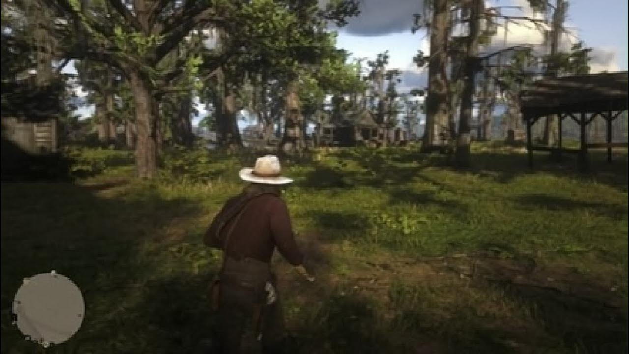 RDR2 GAMEPLAY 50