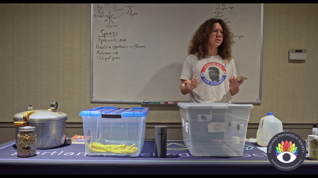 Mastering the Monotub: Ultimate Mushroom Growing Workshop