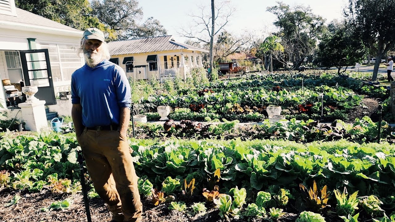 $7.5k a Month Gardening other people’s yards