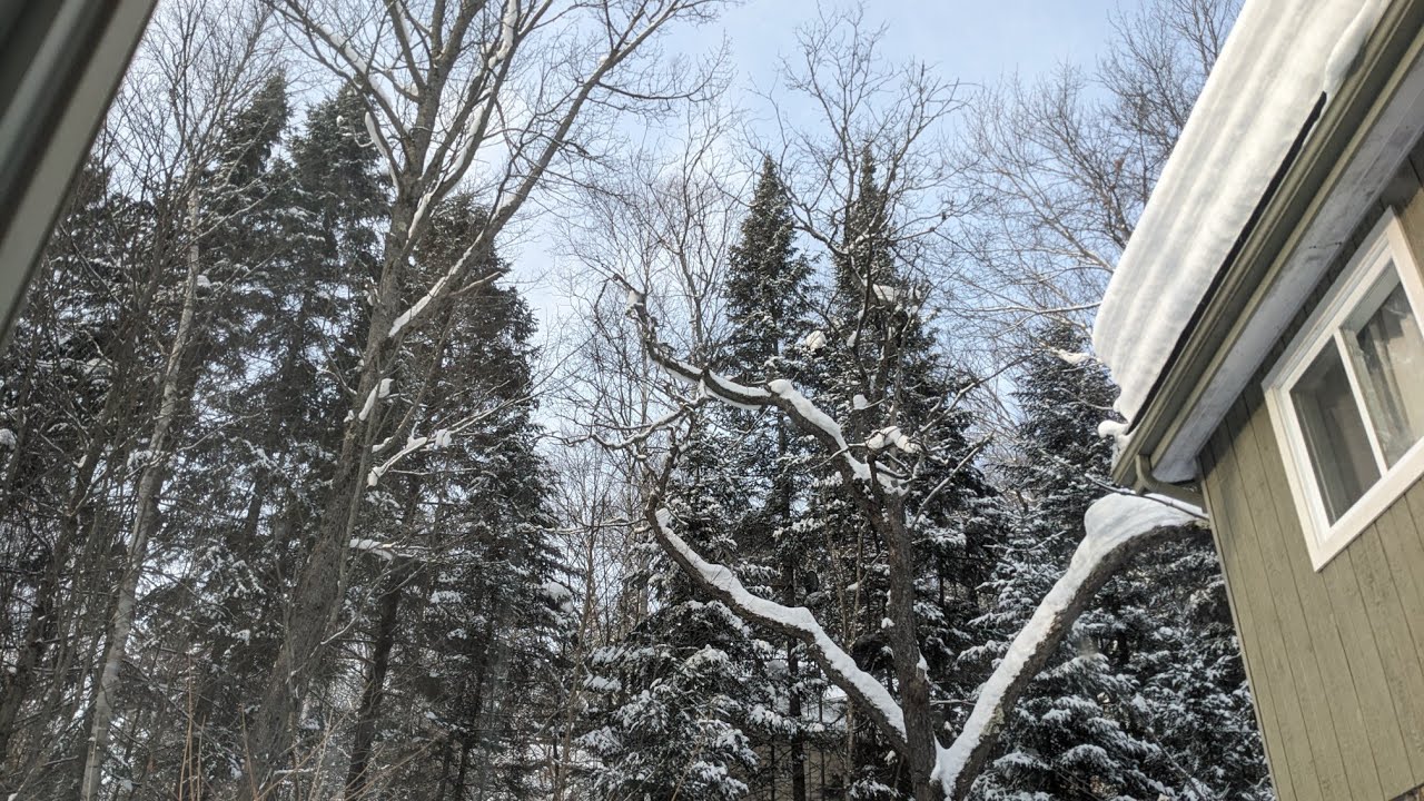 A Quiet Winter Morning - Soft Guitar Meditation (30 min)