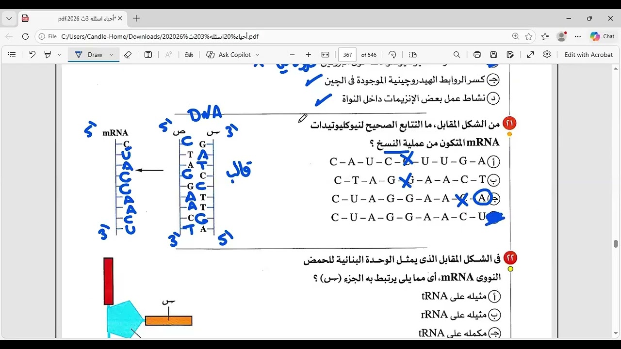 حل واجب انواع RNA و تخليق البروتين