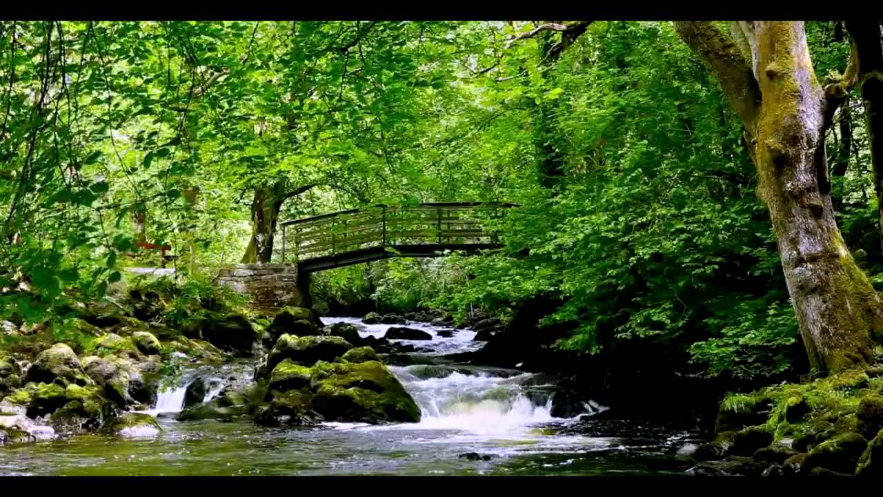 Ощущение дыхания &mdash; спокойная техника для занятий