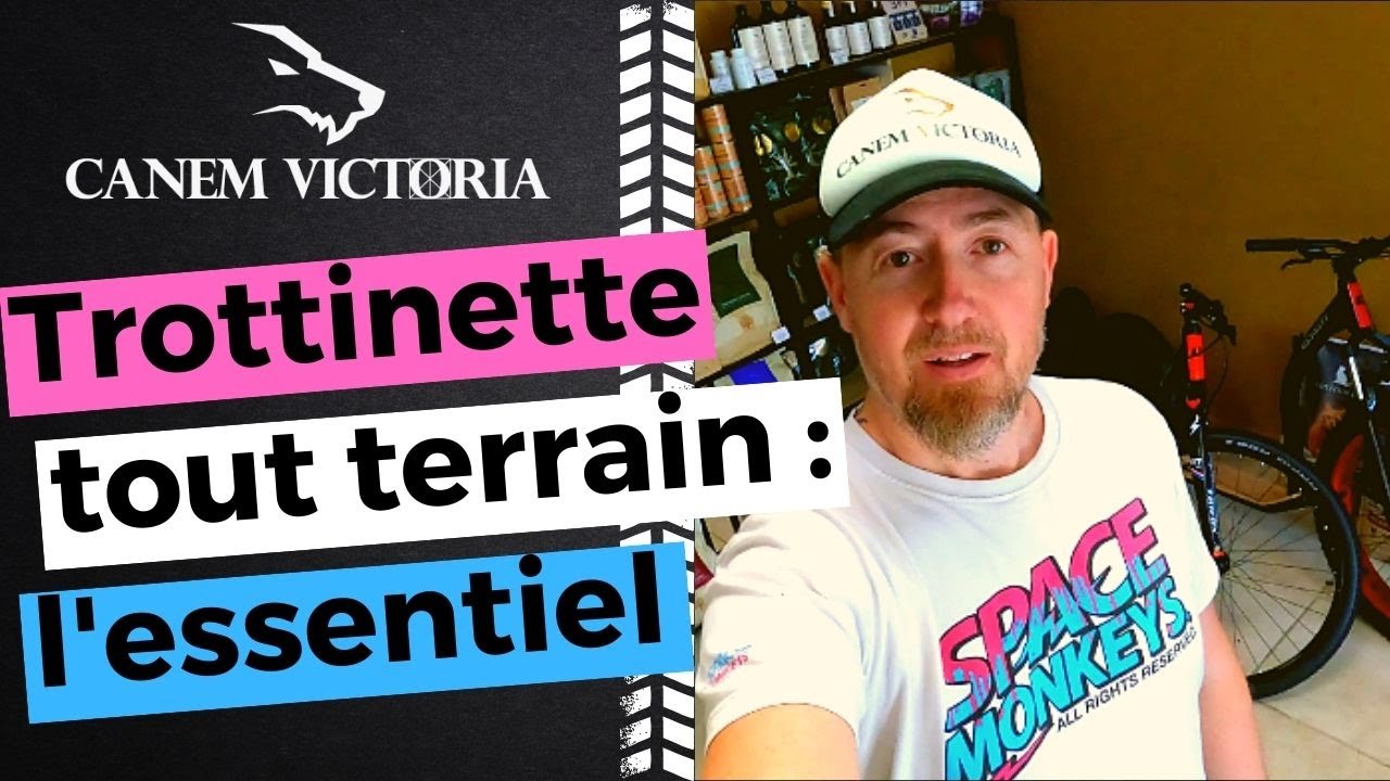 Trottinette tout terrain : L'essentiel à savoir avant d'acheter votre cani trottinette