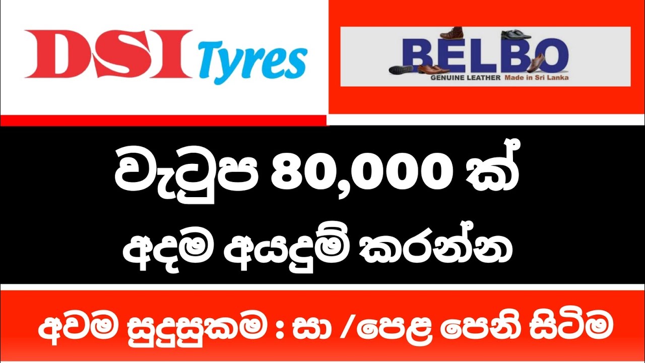 DSI Tyres ආයතනයේ අලුත්ම Job Vacancy ටික | මාසිකව 80,000 / වැඩි ආදායමක් | 2026 Job Vacancy 