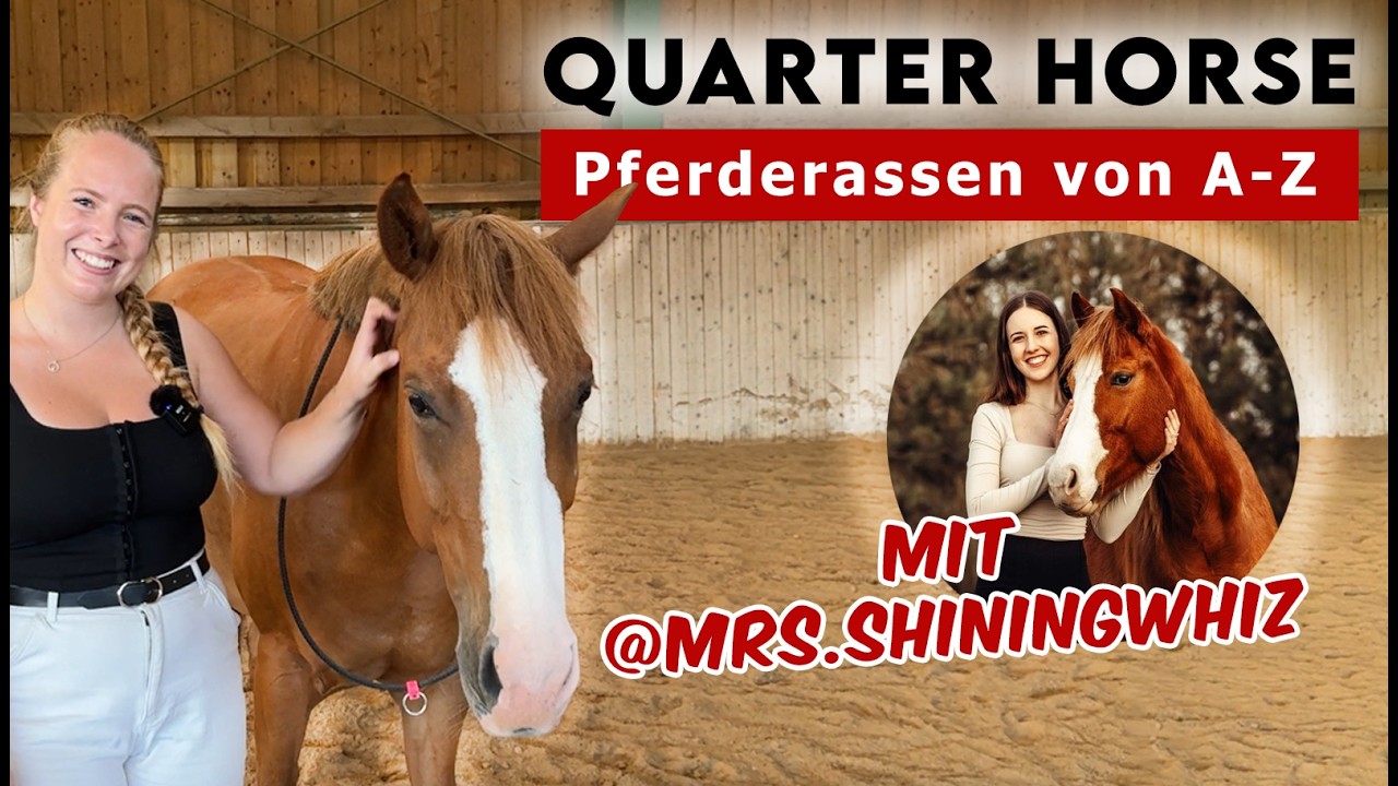 Pferderassen von A-Z | Quarter Horse - Zu Besuch bei Anika & Catty