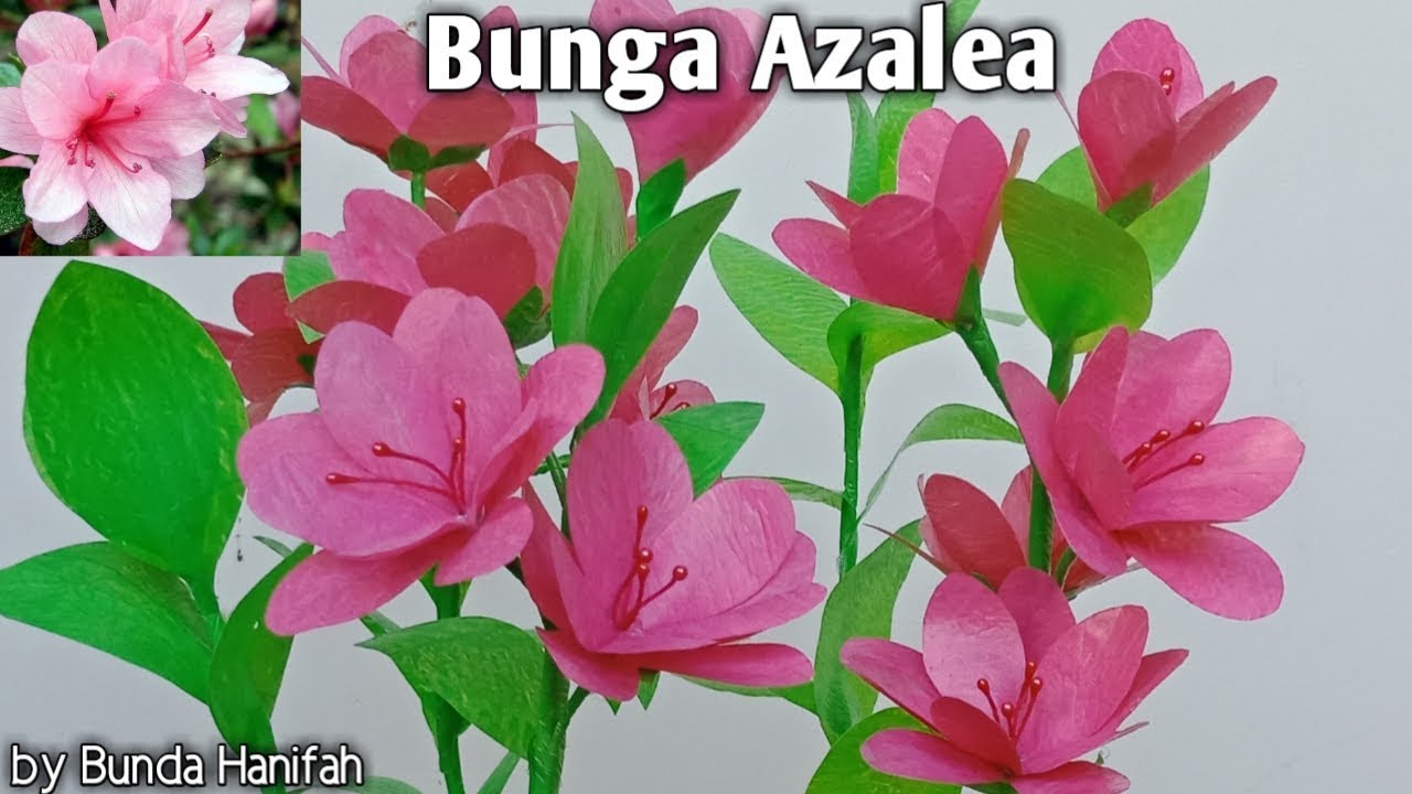 Cara membuat bunga azalea dari plastik kresek //How to make flower from plastic bag