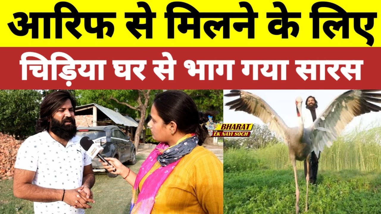 आरिफ से मिलने के लिए चिड़िया घर से भाग गया सारस, Bharat Ek Nayi Soch
