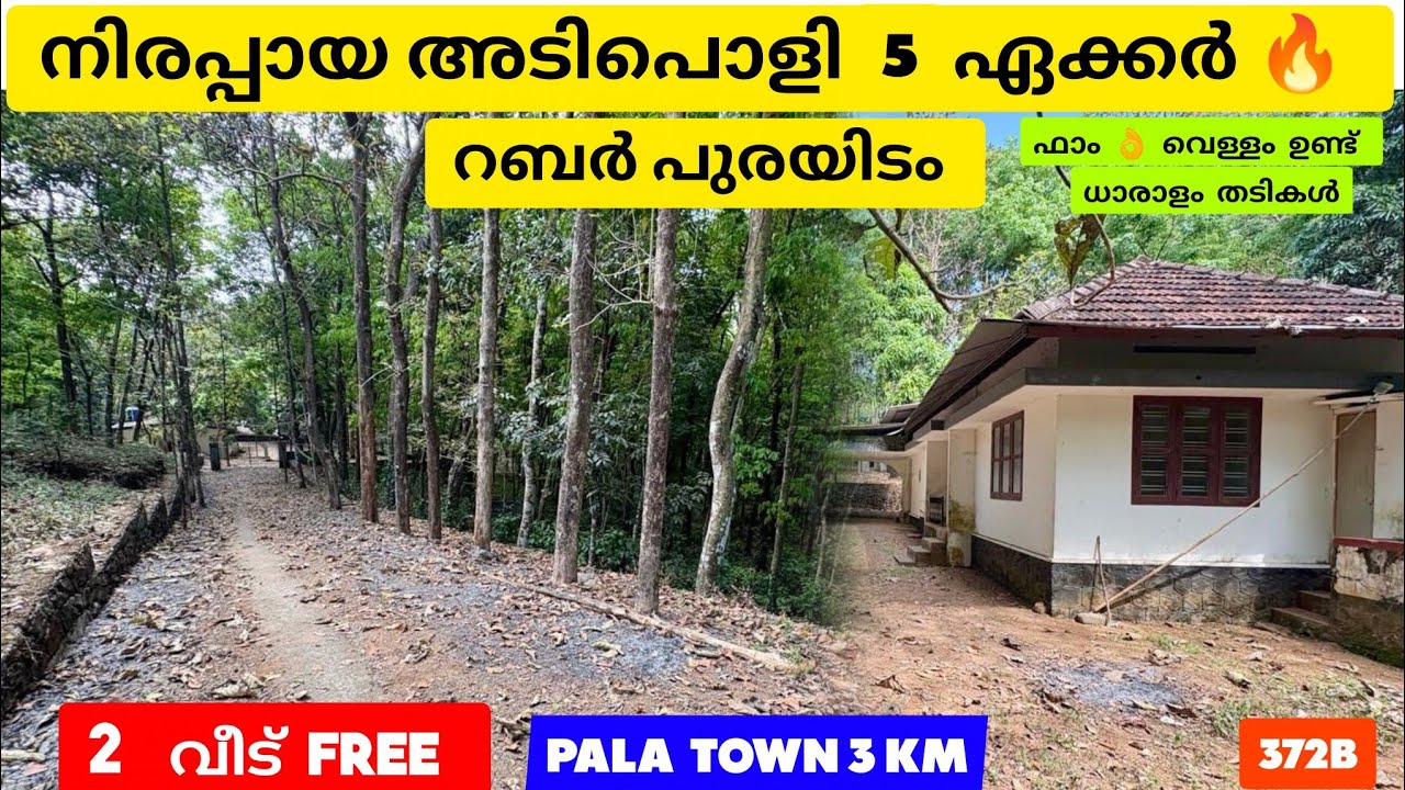 🌿🔥 നിരപ്പായ അടിപ്പൊളി 5 ഏക്കർ റബർ പുരയിടം | 🏠 2 വീട് FREE | 📍Pala Town 3KM | 372B| #keralarealestate
