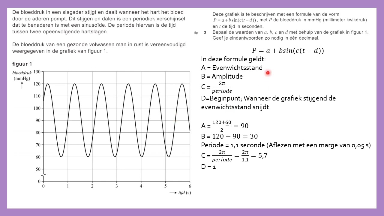 Examentraining - Havo Wiskunde B - 2024-1 - Bloeddruk