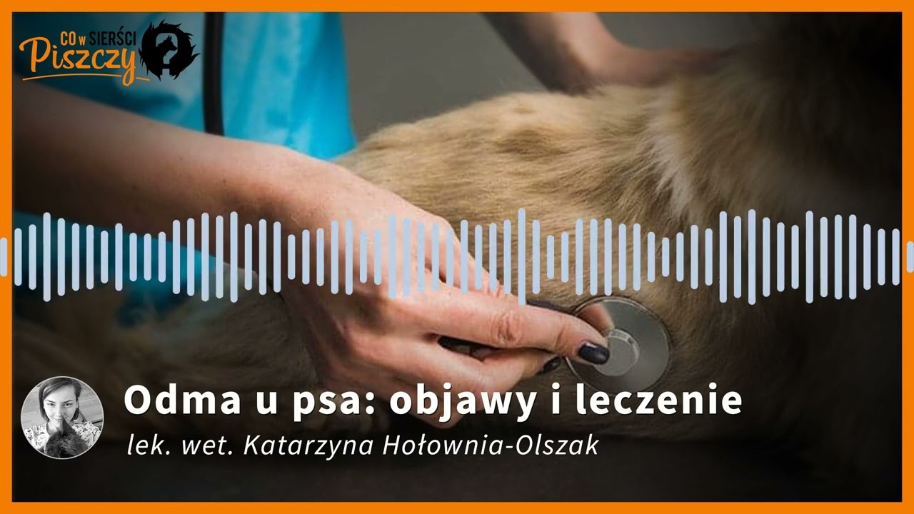 Odma u psa | Lek. wet. Katarzyna Hołownia-Olszak