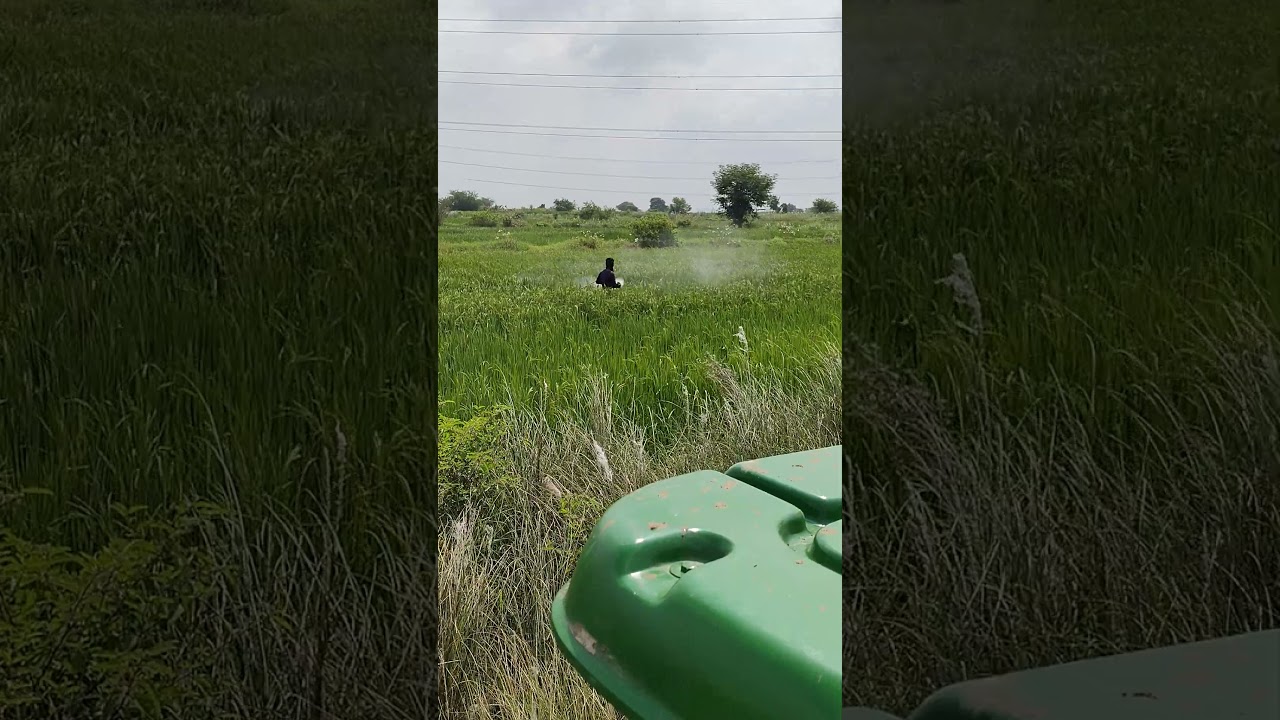 #automobile #johndeere #dhaankikheti